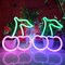 Summer Cherry Neon Sign, USB or 3-AA Battery Powered Neon Light, LED Table Decoration, Bedroom Wall Decoration, Birthday Gift, Wedding Supplies Business Gift (Green+Pink)